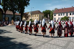 VZA_6300