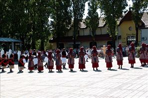 VZA_6310