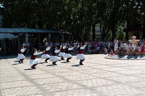 VZA_6311