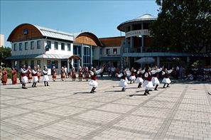 VZA_6325