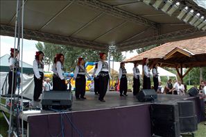 VZA_8165