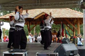 VZA_8170