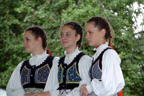VZA_8243