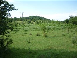 Barangolo-2-006