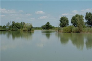 VZA_0076