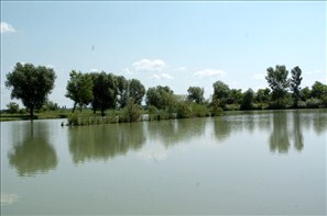 VZA_0080