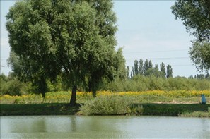 VZA_0086