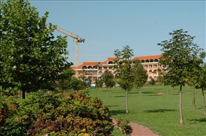 VZA_0642