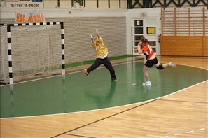 SPR_0799