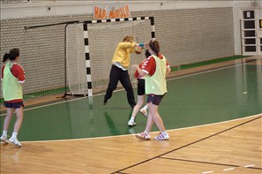 SPR_0803