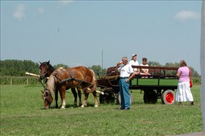 VZA_0884