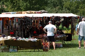 VZA_0906