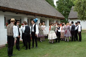 VZA_1201