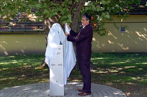 VZA_8763