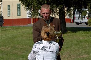 VZA_9608