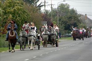 20100925-144450-032
