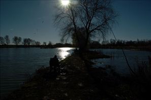 VZA_6632