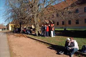 VZA_6735
