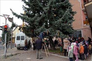 VZA_3217