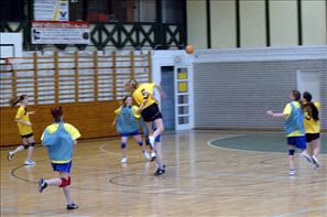 SPR_4138