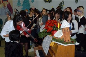 BLS_7095
