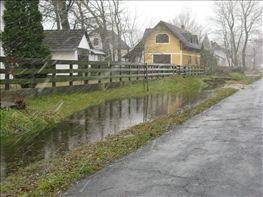 IMG_1155
