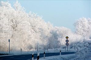 VZA_8212