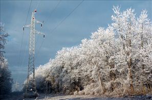 VZA_8222
