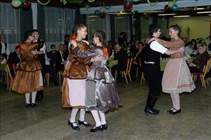 VZA_4529