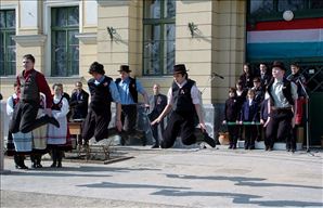 BLS_6384