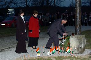 VZA_7049