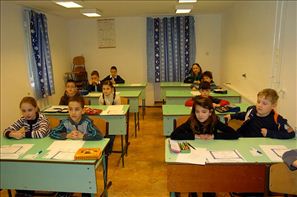 BLS_7132