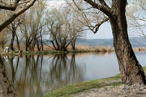 VZA_0855