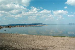 VZA_0870