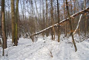 DSC_0150