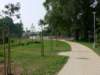 Photo Number 5